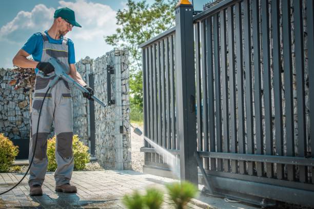 Best Patio and Deck Pressure Washing  in Lester Prairie, MN
