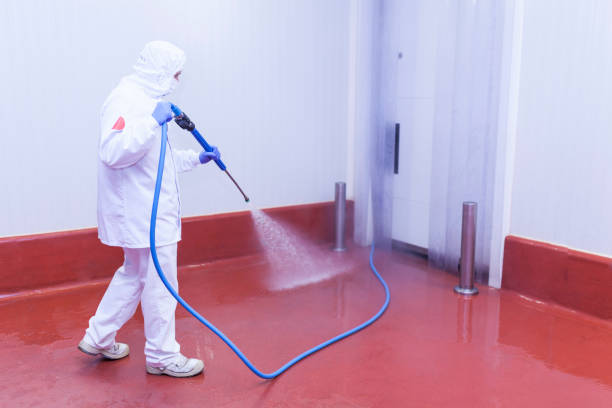 Best Paint Preparation  in Lester Prairie, MN