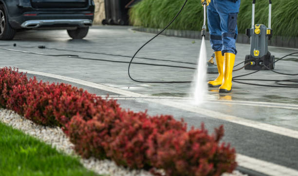 Best Fence Cleaning  in Lester Prairie, MN